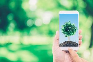 Auch bei Kauf oder Entsorgung von Smartphones kann man die Umwelt schonen