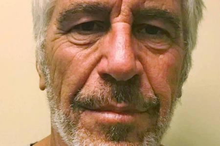 Jeffrey Epstein wenige Tage vor seinem Selbstmord auf einer offiziellen Aufnahme der US-Strafverfolgungsbehörden