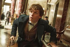 "Phantastische Tierwesen und wo sie zu finden sind": Newt Scamander (Eddie Redmayne) gönnt sich keine Pause
