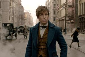 "Phantastische Tierwesen": Eddie Redmayne als Newt Scamander