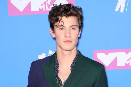 Shawn Mendes muss sich bei seinen Fans entschuldigen