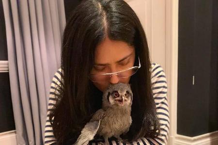 Salma Hayek und ihr neues Haustier