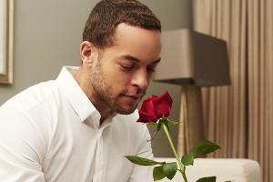 "Der Bachelor - Das große Finale": An wen wird Andrej seine letzte Rose vergeben?