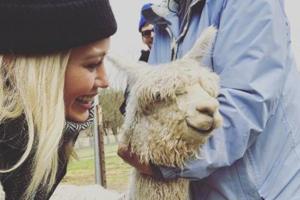 Hilary Duff freut sich über ihre neuen Haustiere