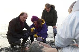 "Unter anderen Umständen: Mord im Watt": Arne Brauner (Martin Brambach, l.), Ole Jessen (Max von Pufendorf, r.) und Jana Win...