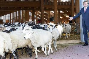 König Willem-Alexander präsentiert mit breitem Grinsen die Bewohner des Stalls