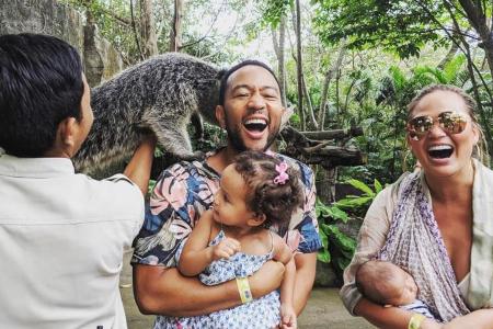 Der Binturong macht sich einen Spaß auf John Legends Kosten