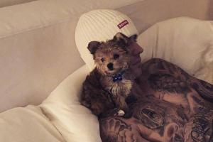 Justin Bieber präsentiert sein neues Familienmitglied: Hundebaby Oscar