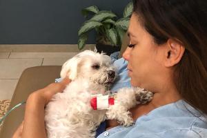 Eva Longoria trauert um ihren Hund Jinxy