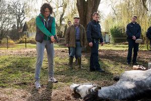 "Tatort: Die Sonne stirbt wie ein Tier": Die Kommissare Odenthal und Kopper jagen im einen Pferdeschänder