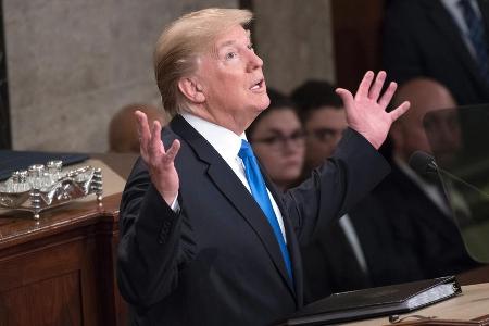 Donald Trump wurde im November 2016 zum 45. Präsidenten der Vereinigten Staaten gewählt