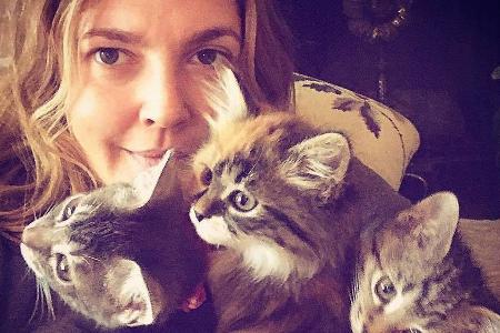 Schauspielerin Drew Barrymore hat ab sofort wohl alle Hände voll zu tun