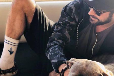 Schauspieler Zac Efron genießt die Zeit mit Hundedame Maca