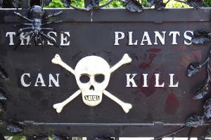 Einen Totenkopf würde man am Eingang einer Gartenanlage nicht unbedingt erwarten. Genau dieser Totenkopf zieht aber zahlreic...