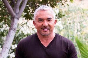 Cesar Millan lebt und predigt das Mantra: "Calm, confident, love, excitement" (Ruhe, Selbstvertrauen, Liebe, Aufregung/Spaß/...