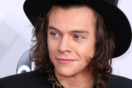 Harry Styles hat seinen Promi-Status toll genutzt!