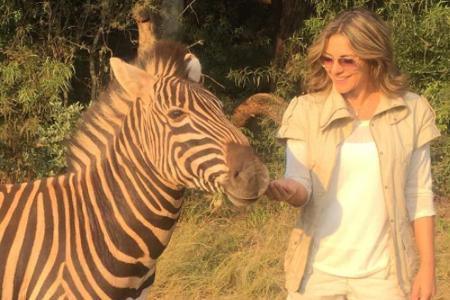 Elizabeth Hurley hatte die Gelegenheit, ein Zebra zu streicheln