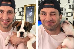 Wladimir Klitschko kuschelt mit einem Welpen namens Klitschko