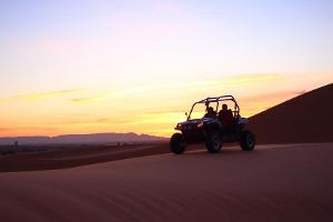 Dubais Wüste lässt sich auf vielfältige Art und Weise erkunden