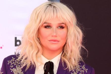 Sängerin Kesha möchte selbst in der Karibik nicht auf ihre Katzen verzichten