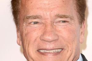 Arnold Schwarzenegger wurde in Österreich geboren