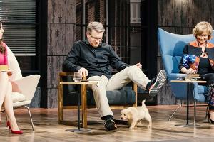 "Die Höhle der Löwen": Die Investoren Judith Williams (l.), Frank Thelen und Dagmar Wöhrl nehmen den rutschfesten Hundenapf ...