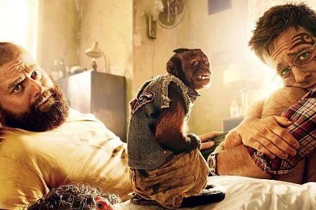 Alan (Zach Galifianakis, l.), Phil (Bradley Cooper, unten) und Stu (Ed Helms, r.) können sich mal wieder an Nichts erinnern