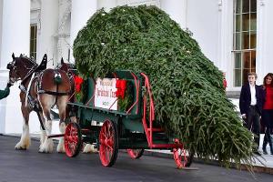 Think big: Melania Trump und ihr Sohn Barron bestaunen den großen Christbaum