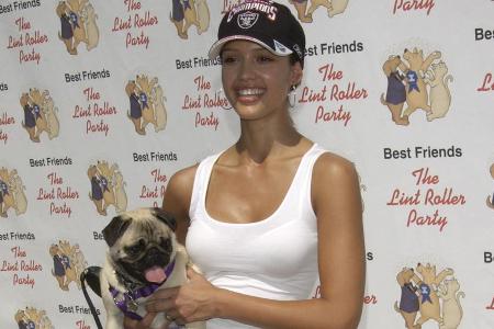 Jessica Alba und Hündin Sid im Jahr 2003