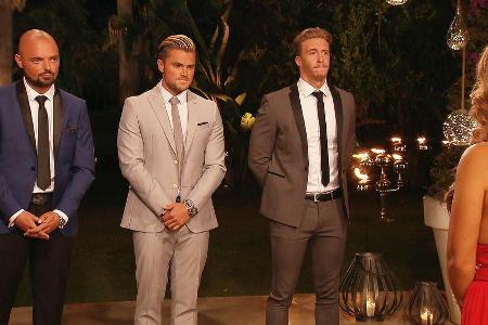 Nik, Johannes oder David (von links) - wem gab Jessica Paszka die letzte Rose?