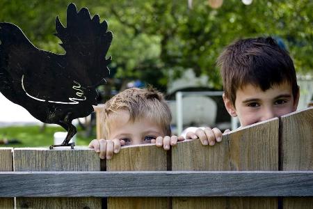 Auf Bayerns Bauern- und Landhöfen können Groß und Klein einiges entdecken