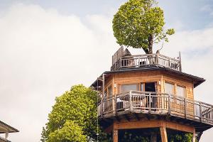 Das etwas andere Zimmer mit Aussicht befindet sich in einem Baumhaus