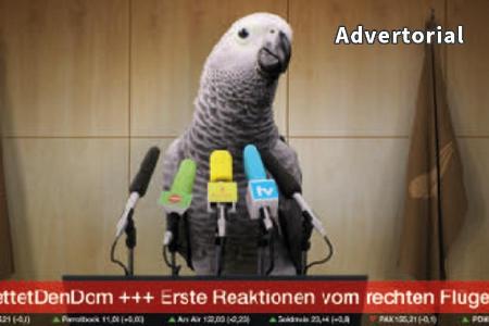 In dem neuen Werbefilm von BILD ist ein Papagei ein Nachrichtensprecher