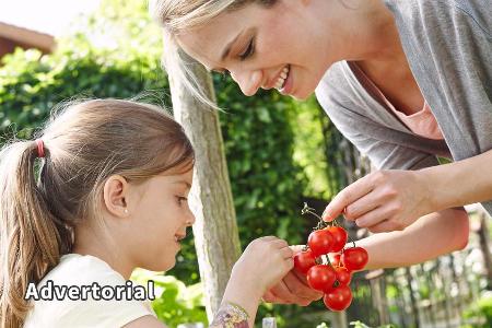 Wer Tomaten aus dem eigenen Garten genießen will, muss die Pflanzen pflegen und stärken