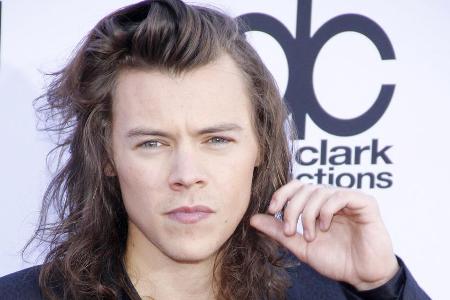 Attraktiv, erfolgreich... Harry Styles könnte wohl einige Frauen haben