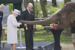 Elizabeth II. füttert im Zoo von Whipsnade einen Dickhäuter namens Donna