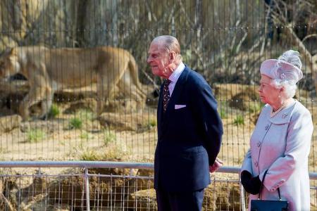 ...zumindest. Denn die Raubkatzen und ihre Tatzen im Londoner Zoo sind wohl nicht für näheren Kontakt zu empfehlen. Wobei di...