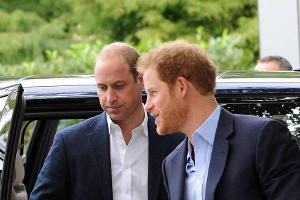 Prinz William und Prinz Harry gedenken mit der Verleihung ihrer verstorbenen Mutter Lady Diana