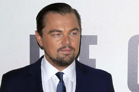 Leonardo DiCaprio spendet eine enorme Summe aus seiner Stiftung