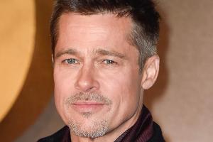 Brad Pitt konnte die Sängerin Shania Twain mit nackter Haut nicht beeindrucken