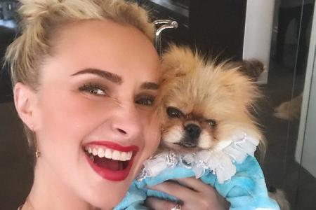 Hayden Panettiere schmust mit dem Promi-Hund Giggy