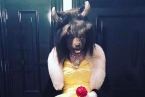 Unter diesem Kostüm versteckt sich Madonna