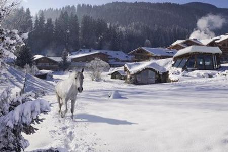 Das Bio- und Wellnessresort Stanglwirt