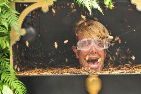 Florian Wess kämpft mit dem obligatorischen Ungeziefer