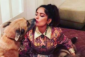 Salma Hayek schmust gerne mit ihren Hunden