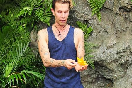 Platz drei für Florian Wess im Dschungelcamp 2017