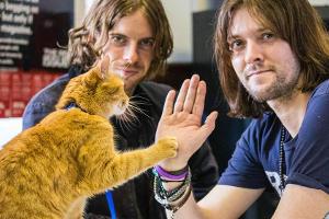 Bob mit seinem Herrchen James Bowen und dem Hauptdarsteller des Fims, Luke Treadaway