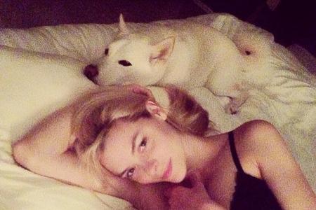 Jamie King, Stillende Promis