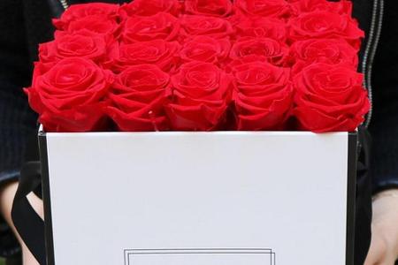 Fast wie Zauberei: Blumen, die Jahre lang haltbar sind