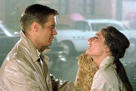 Verregnete Suche nach dem Kater in 